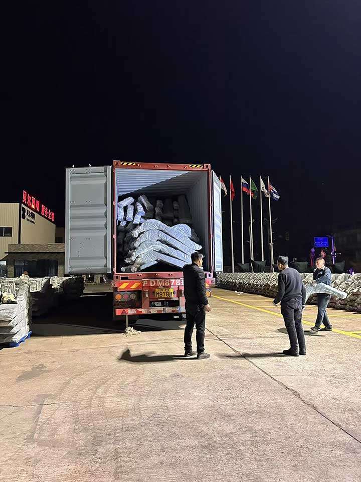 Revolutionizing Urban Landscapes: BEIER LIGHTING’s Smart Street Light Project Illuminates East Africa 4 Revolutionizing Urban Landscapes BEIER LIGHTINGs Smart Street Light Project Illuminates East Africa 03